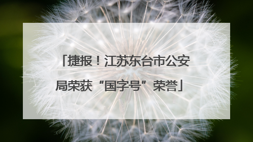 捷报！江苏东台市公安局荣获“国字号”荣誉